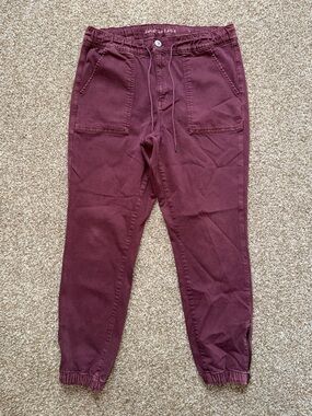 American Eagle Next Level Stretch Jogger